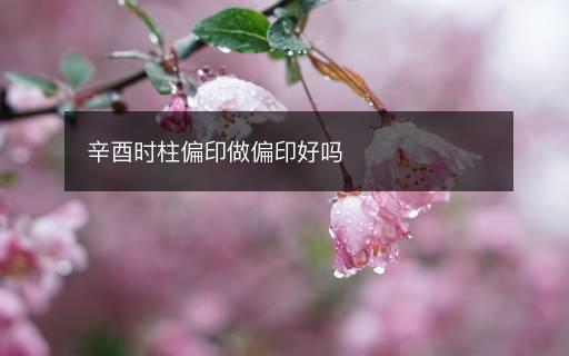 辛酉時柱偏印做偏印好嗎