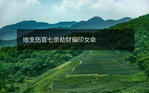 地支傷官七殺劫財偏印女命