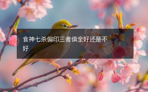 食神七殺偏印三者俱全好還是不好