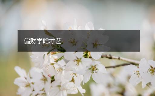 偏財(cái)學(xué)啥才藝