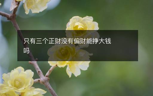 只有三個正財(cái)沒有偏財(cái)能掙大錢嗎