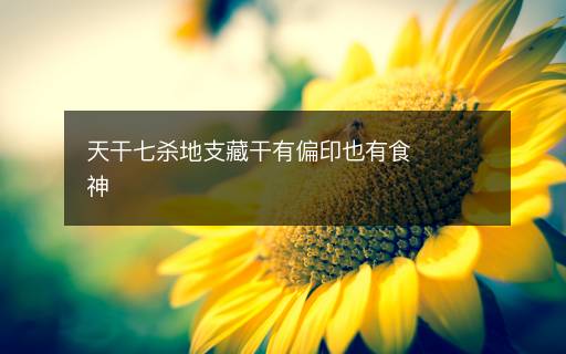 天干七殺地支藏干有偏印也有食神