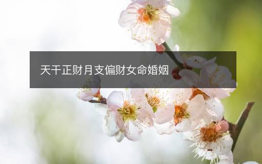 天干正財(cái)月支偏財(cái)女命婚姻