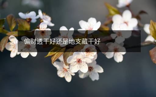 偏財透干好還是地支藏干好