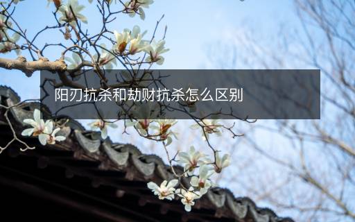 陽(yáng)刃抗殺和劫財(cái)抗殺怎么區(qū)別