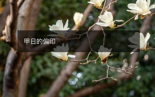甲日的偏印