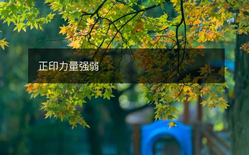 正印力量強弱