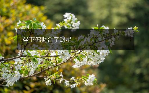 坐下偏財(cái)合了財(cái)星
