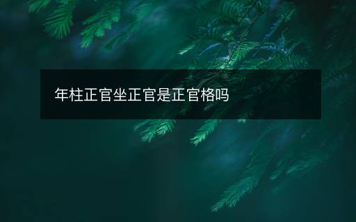 年柱正官坐正官是正官格嗎