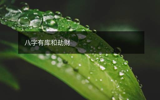 八字有庫和劫財