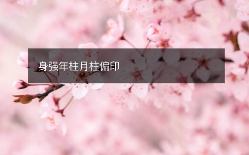 身強(qiáng)年柱月柱偏印