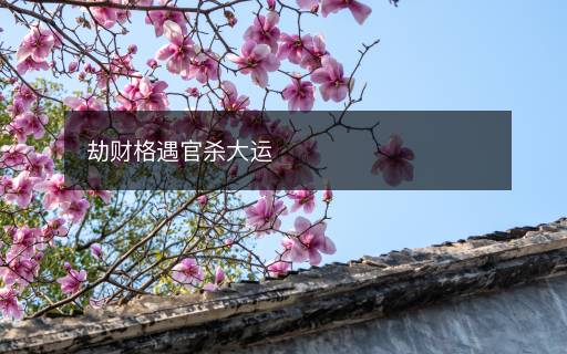 劫財(cái)格遇官殺大運(yùn)