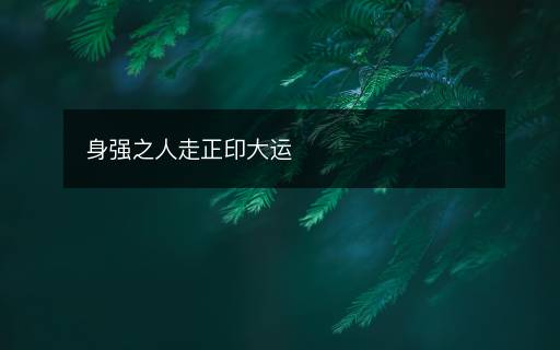 身強(qiáng)之人走正印大運(yùn)