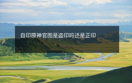 自印原神官圖是盜印嗎還是正印
