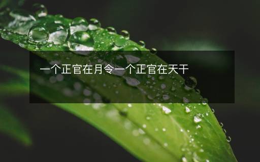 一個正官在月令一個正官在天干
