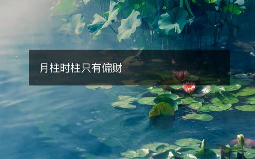 月柱時柱只有偏財
