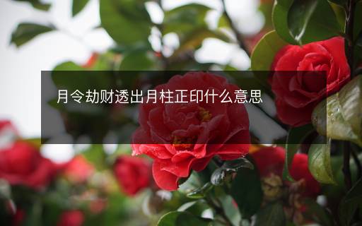 月令劫財(cái)透出月柱正印什么意思