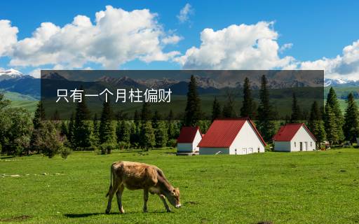只有一個(gè)月柱偏財(cái)