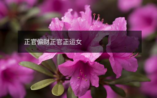 正官偏財(cái)正官正運(yùn)女