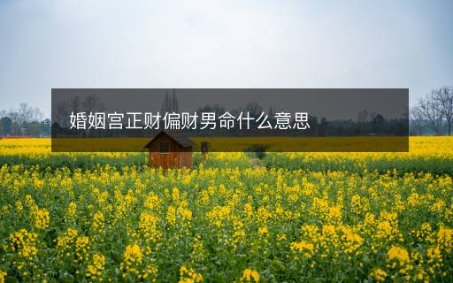 婚姻宮正財偏財男命什么意思