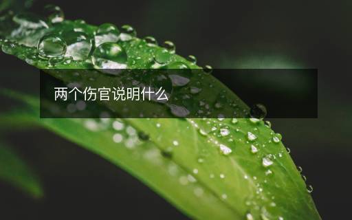兩個傷官說明什么