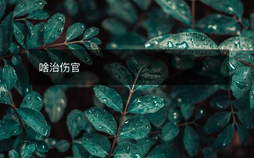 啥治傷官