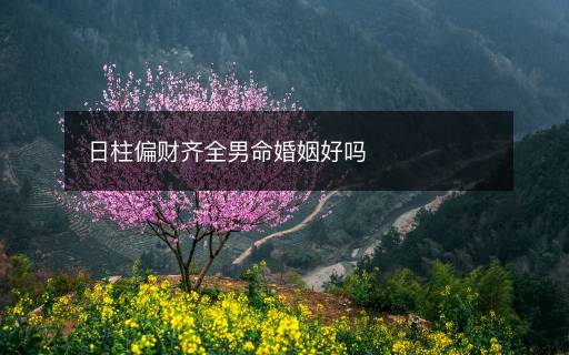 日柱偏財(cái)齊全男命婚姻好嗎