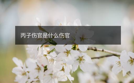 丙子傷官是什么傷官