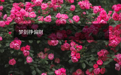 夢(mèng)到掙偏財(cái)