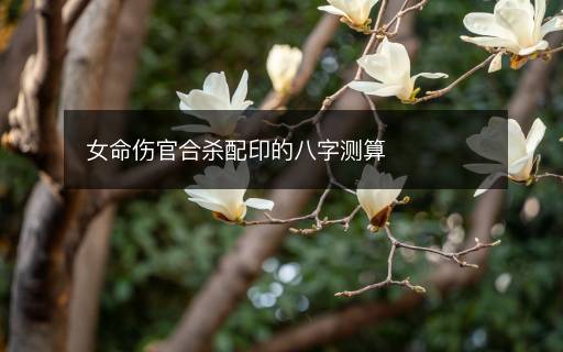 女命傷官合殺配印的八字測算