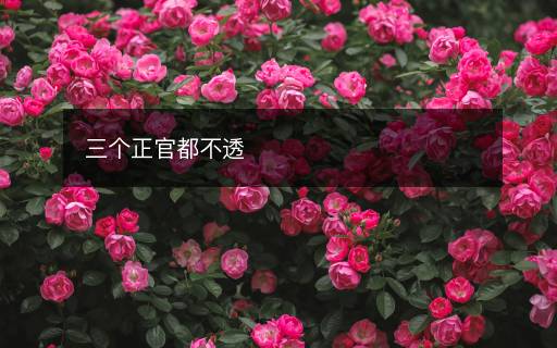 三個正官都不透