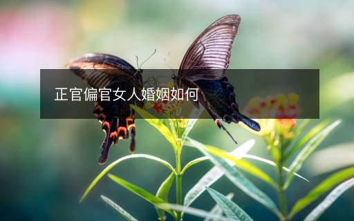 正官偏官女人婚姻如何