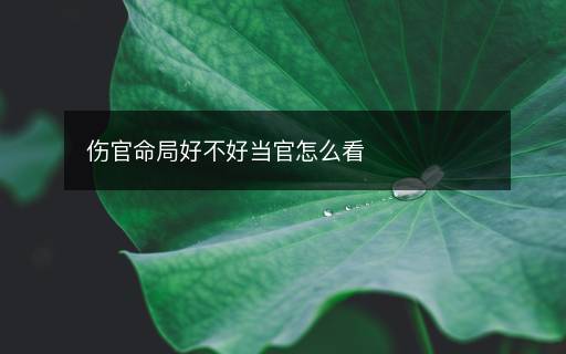 傷官命局好不好當(dāng)官怎么看