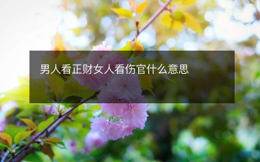 男人看正財(cái)女人看傷官什么意思