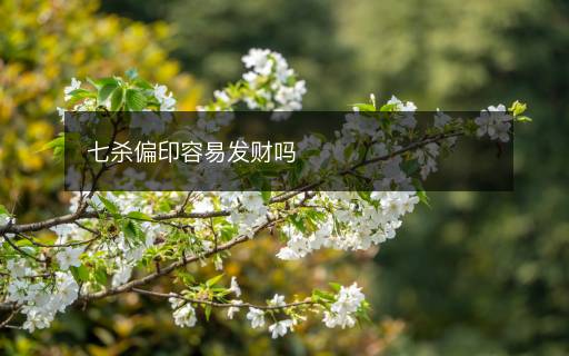 七殺偏印容易發(fā)財嗎