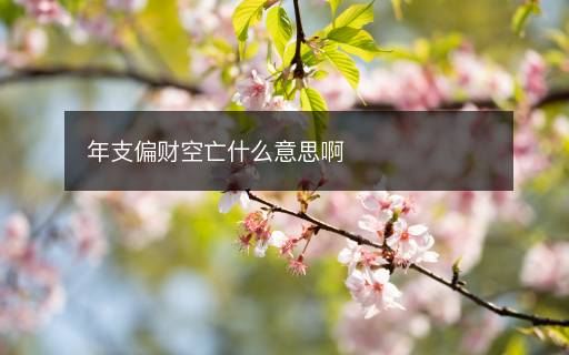 年支偏財空亡什么意思啊