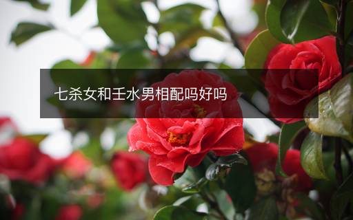 七殺女和壬水男相配嗎好嗎