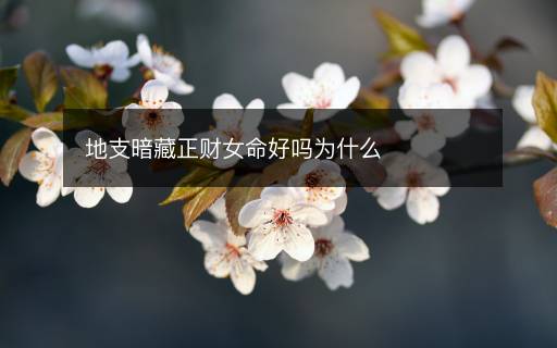 地支暗藏正財女命好嗎為什么