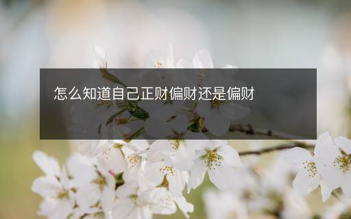怎么知道自己正財偏財還是偏財