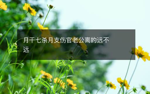 月干七殺月支傷官老公離的遠(yuǎn)不遠(yuǎn)