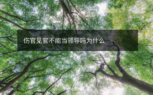 傷官見官不能當(dāng)領(lǐng)導(dǎo)嗎為什么
