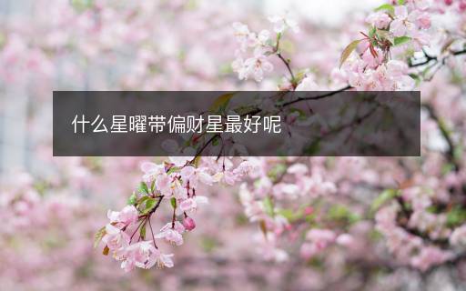 什么星曜帶偏財星最好呢