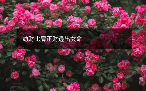 劫財(cái)比肩正財(cái)透出女命