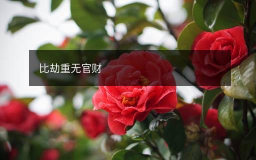 比劫重?zé)o官財(cái)