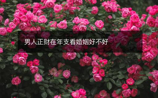 男人正財在年支看婚姻好不好