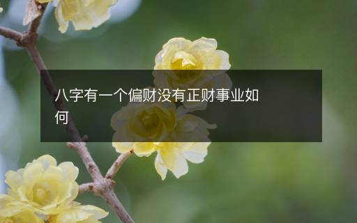 八字有一個偏財沒有正財事業(yè)如何
