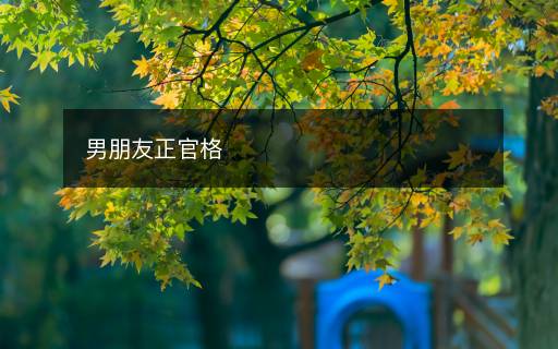 男朋友正官格