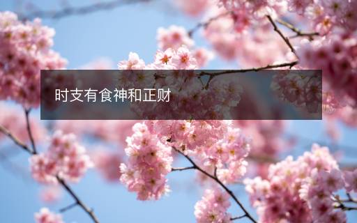 時(shí)支有食神和正財(cái)