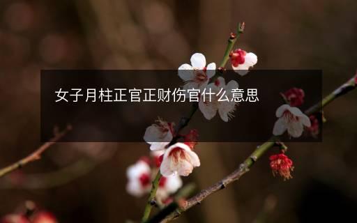 女子月柱正官正財傷官什么意思