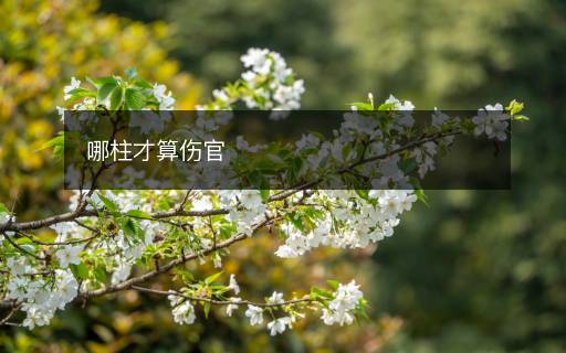 哪柱才算傷官